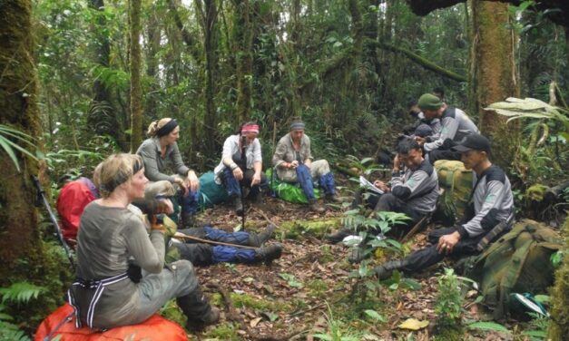 Belajar Kearifan Melestarikan Harimau Sumatera di Desa Ladang Palembang