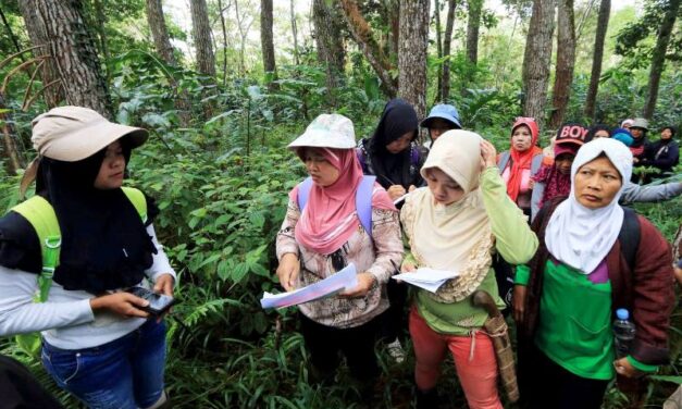 Terlibat Kelola Hutan, Perempuan Bisa Bangun Ketangguhan Perubahan Iklim dan Ketahanan Pangan