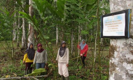 Dengan Hak Kelola Hutan Warisan Dunia, Perempuan Desa Bangun Ketahanan Pangan