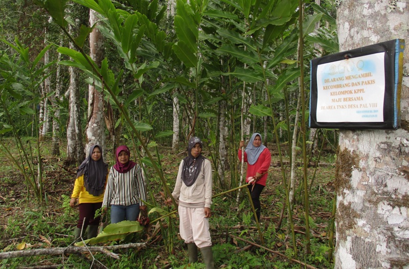 Dengan Hak Kelola Hutan Warisan Dunia, Perempuan Desa Bangun Ketahanan Pangan