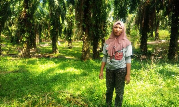Berdayakan Perempuan untuk Kembangkan Agroforestri Sawit !