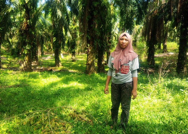 Berdayakan Perempuan untuk Kembangkan Agroforestri Sawit !
