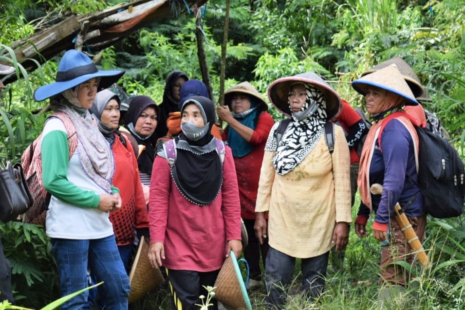 Perempuan dan Kehutanan Komunitas di Indonesia: Sebuah Catatan Singkat