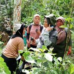 29 Kelompok Perempuan Pengelola Hutan dan Usaha HHBK akan Berdialog dengan Gubernur Bengkulu
